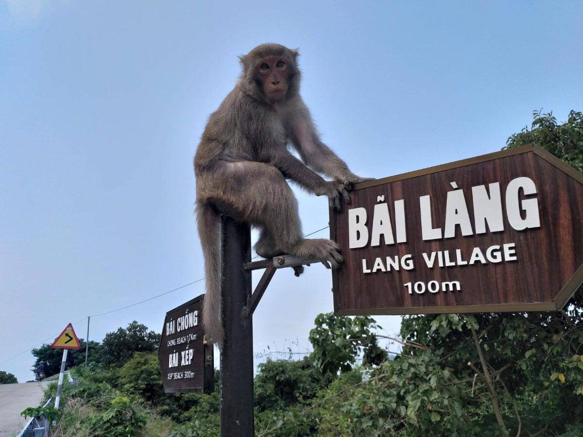 Monkeyland Cham Island Homestay Tan Hiep (Quang Nam) Exterior foto